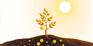 A Magia do Juro Composto ao Seu Favor